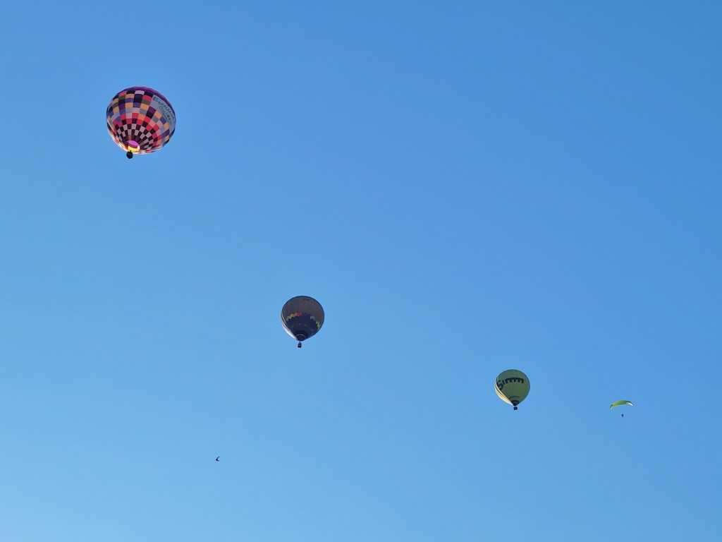 Foto: Competición de globos - Igualada (Barcelona), España