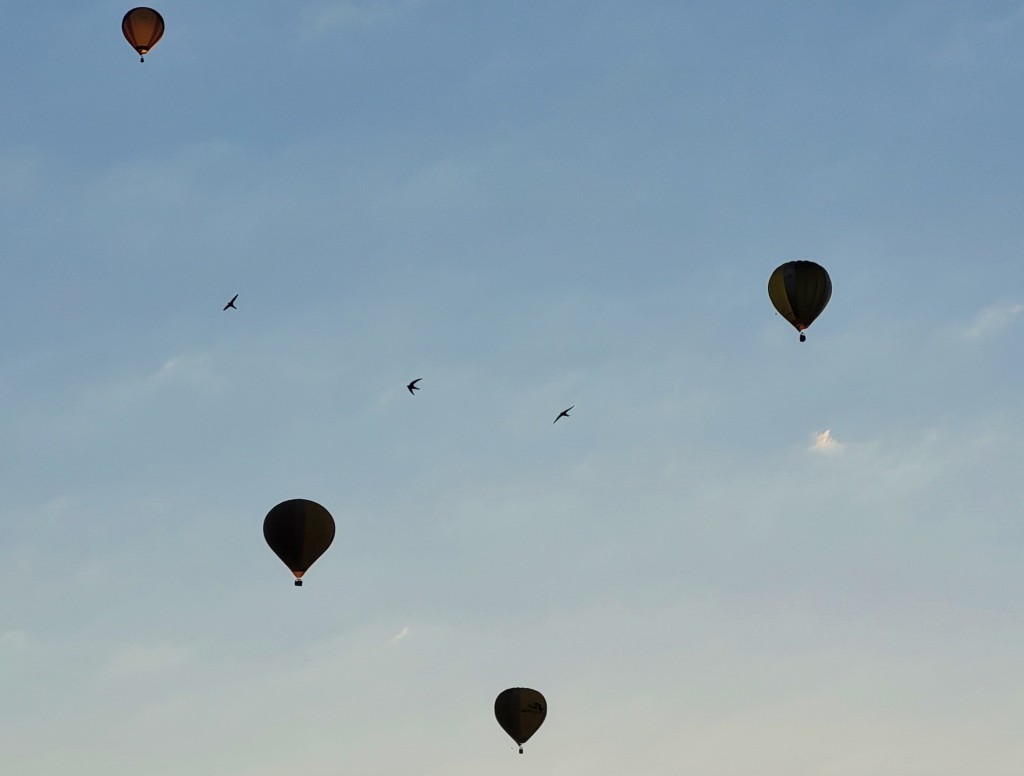 Foto: Competición de globos - Igualada (Barcelona), España