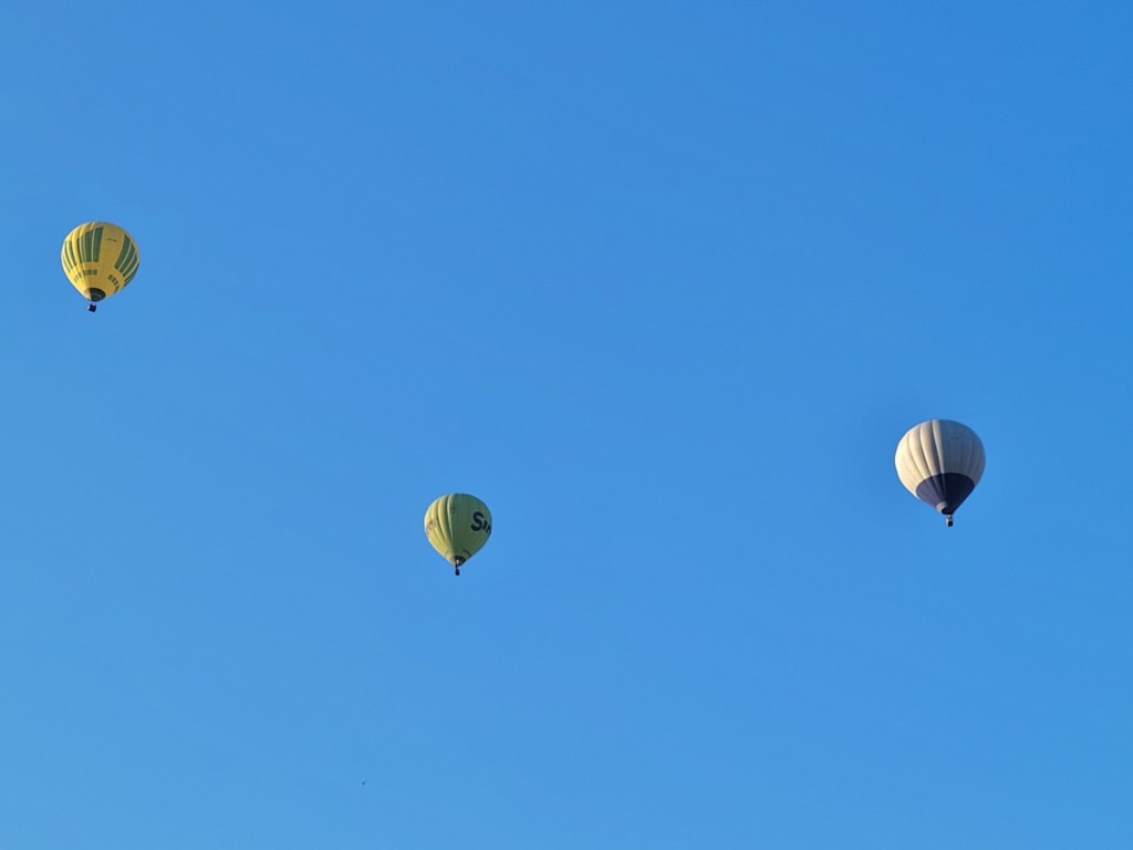 Foto: Competición de globos - Igualada (Barcelona), España
