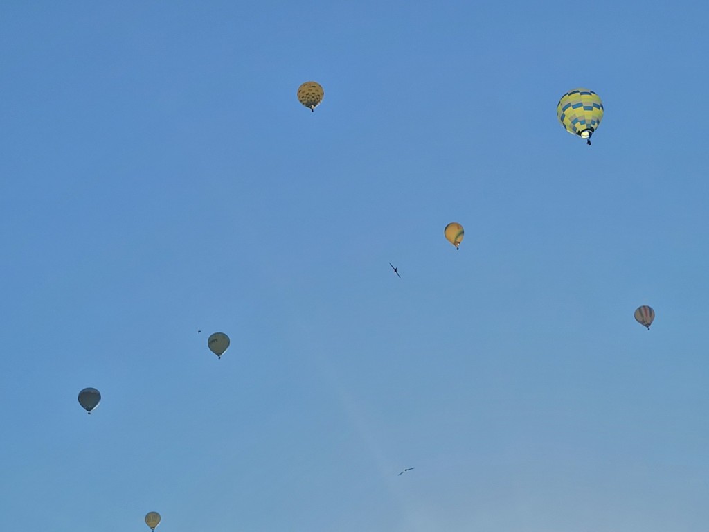 Foto: Competición de globos - Igualada (Barcelona), España