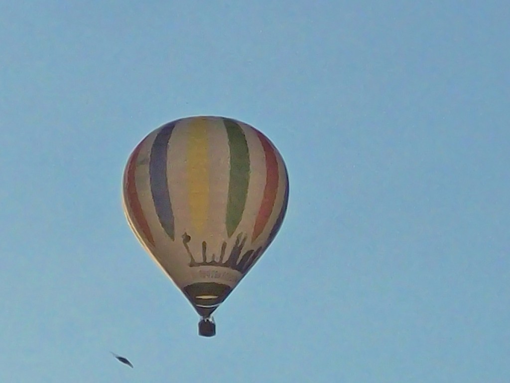 Foto: Competición de globos - Igualada (Barcelona), España