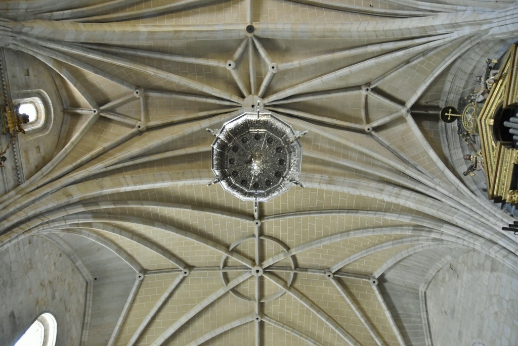 Foto: Catedral - Coria (Cáceres), España