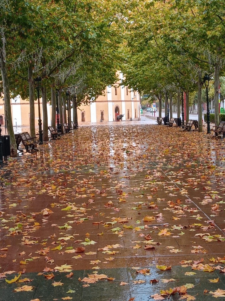 Foto: Paseo Barón de Warsage - Calatayud (Zaragoza), España