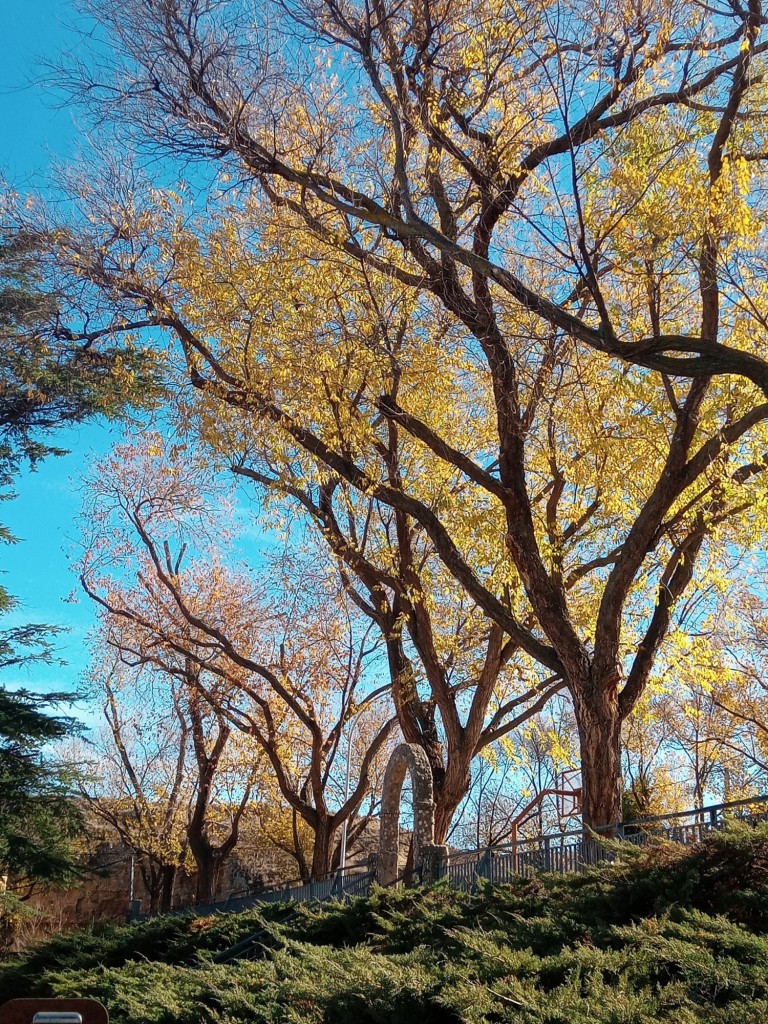 Foto: Parque del barrio de San Antonio - Calatayud (Zaragoza), España