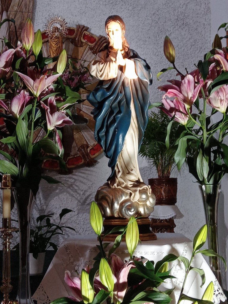 Foto: La Inmaculada Concepción de María en la parroquia de San Antonio - Calatayud (Zaragoza), España