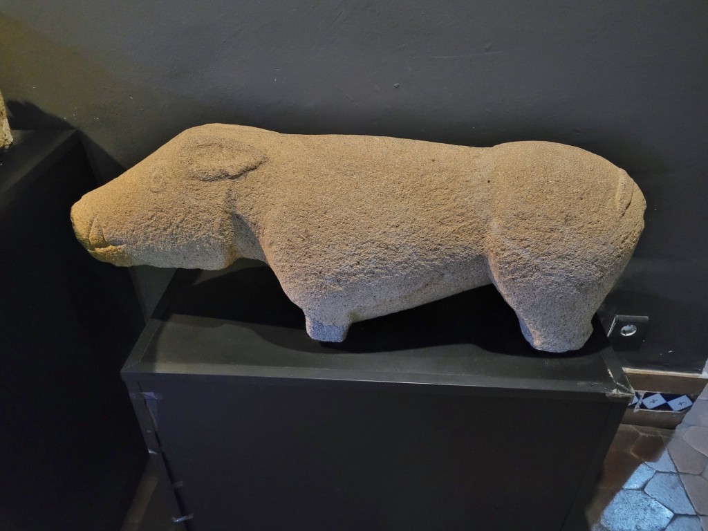 Foto: Museo arqueológico - Cáceres (Extremadura), España