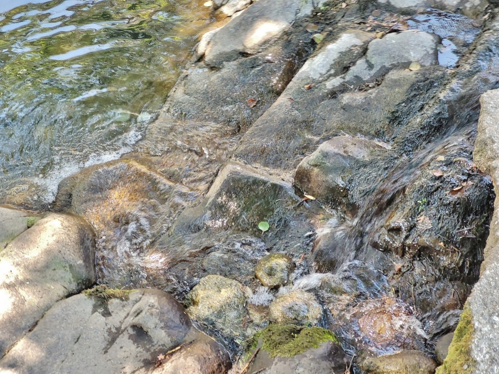Foto: Río Ambroz - Hervás (Cáceres), España