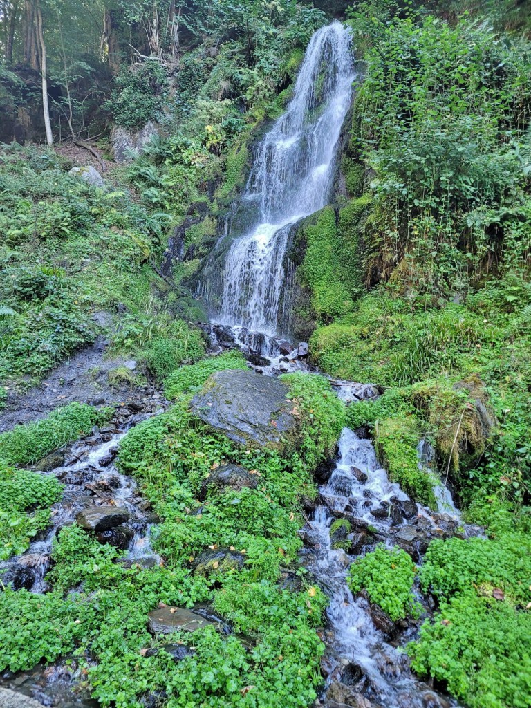 Foto: Río Torán - Sant Joan de Torán (Lleida), España