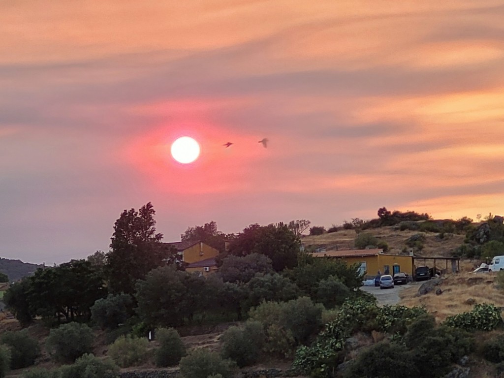 Foto: Atardecer - Plasencia (Cáceres), España