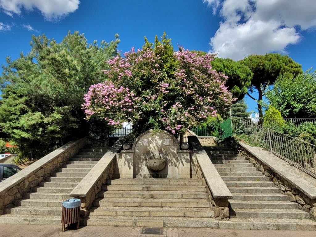 Foto: Jardín - Jarandilla de la Vera (Cáceres), España