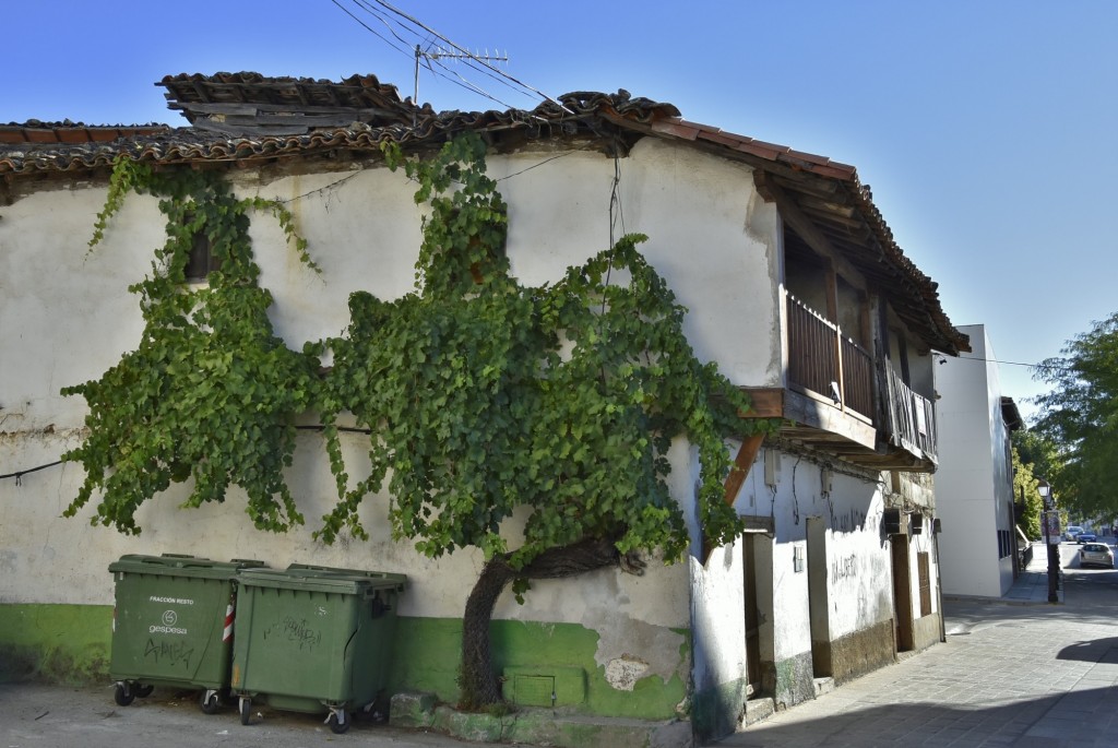 Foto: Centro histórico - Villanueva de la Vera (Cáceres), España