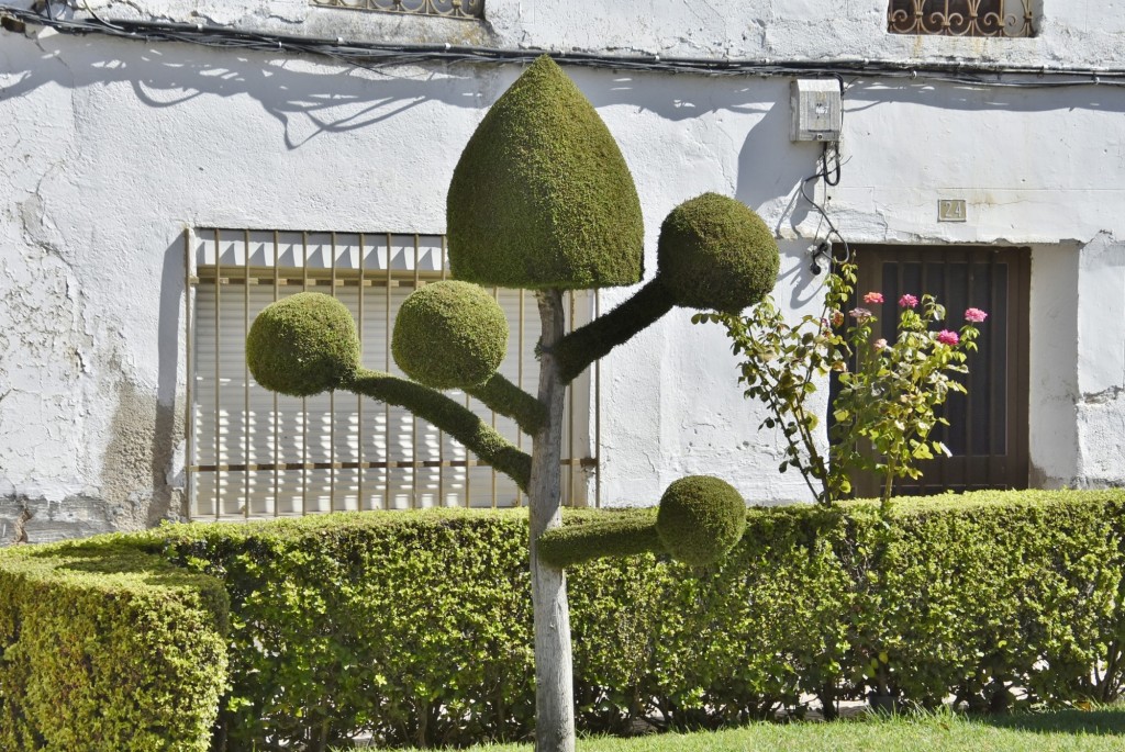 Foto: Arte vegetal - Losar de la Vera (Cáceres), España