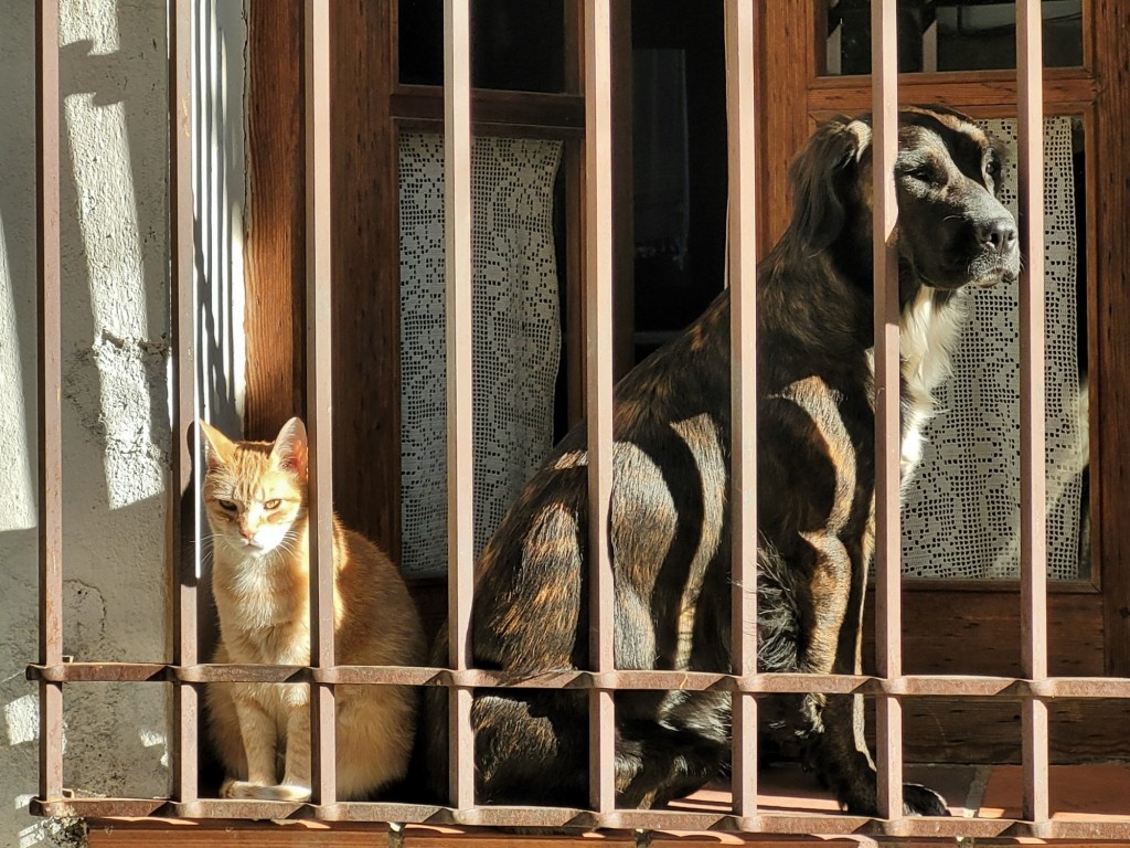 Foto: Amigos - Villanueva de la Vera (Cáceres), España