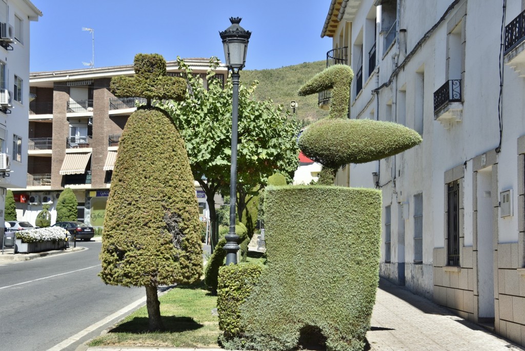 Foto: Arte vegetal - Losar de la Vera (Cáceres), España