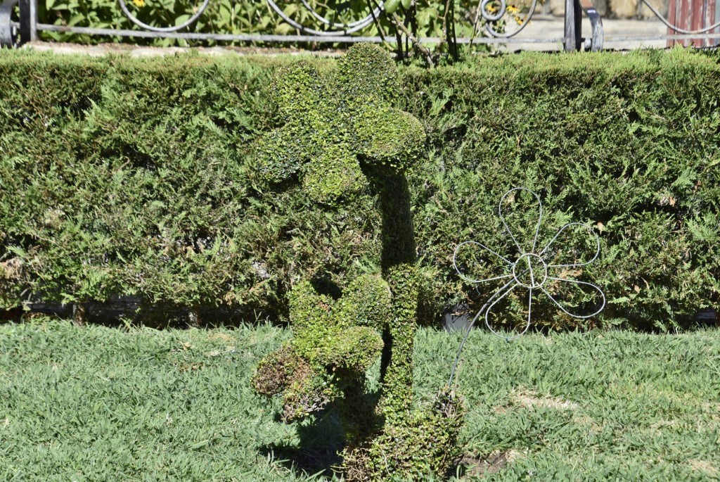 Foto: Arte vegetal - Losar de la Vera (Cáceres), España