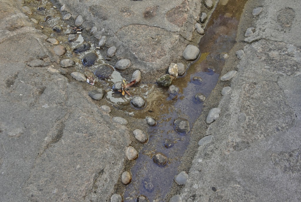 Foto: Centro histórico - Valverde de la Vera (Cáceres), España