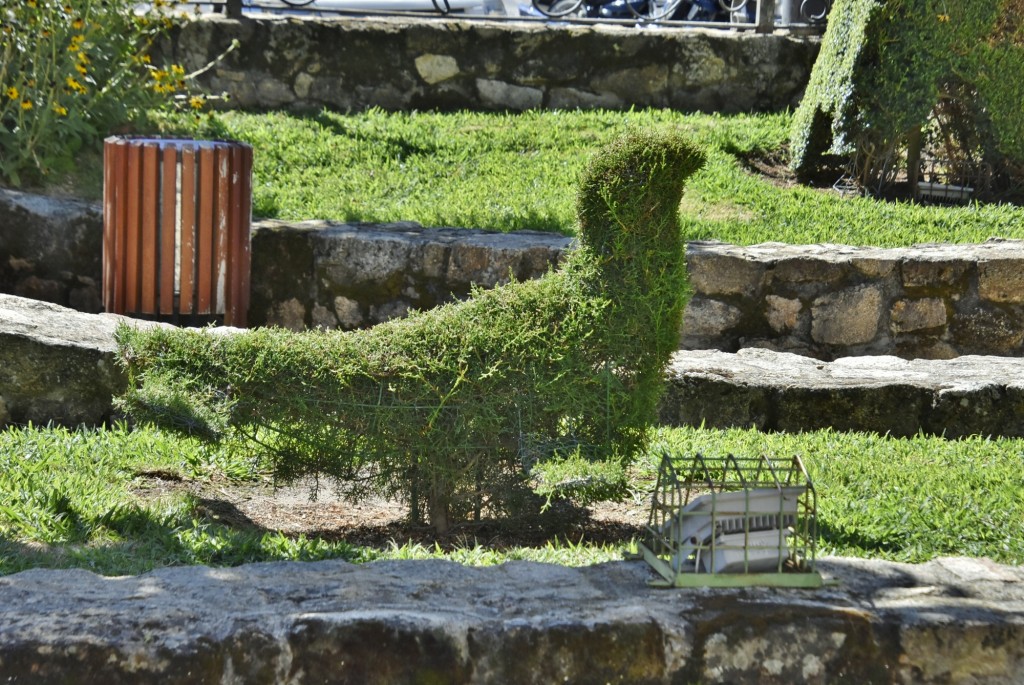 Foto: Arte vegetal - Losar de la Vera (Cáceres), España