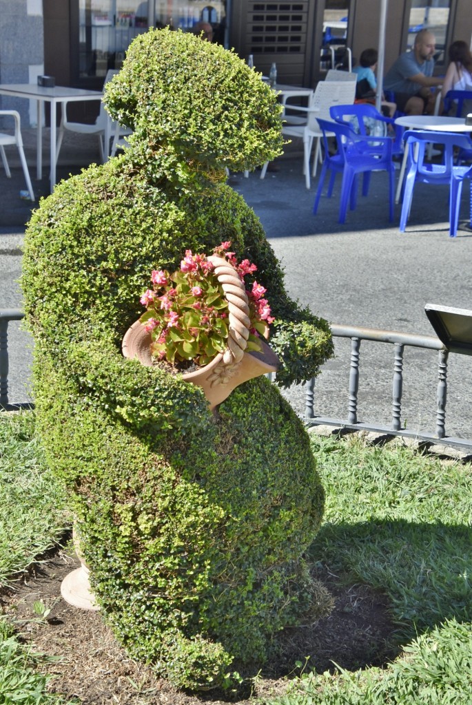 Foto: Arte vegetal - Losar de la Vera (Cáceres), España
