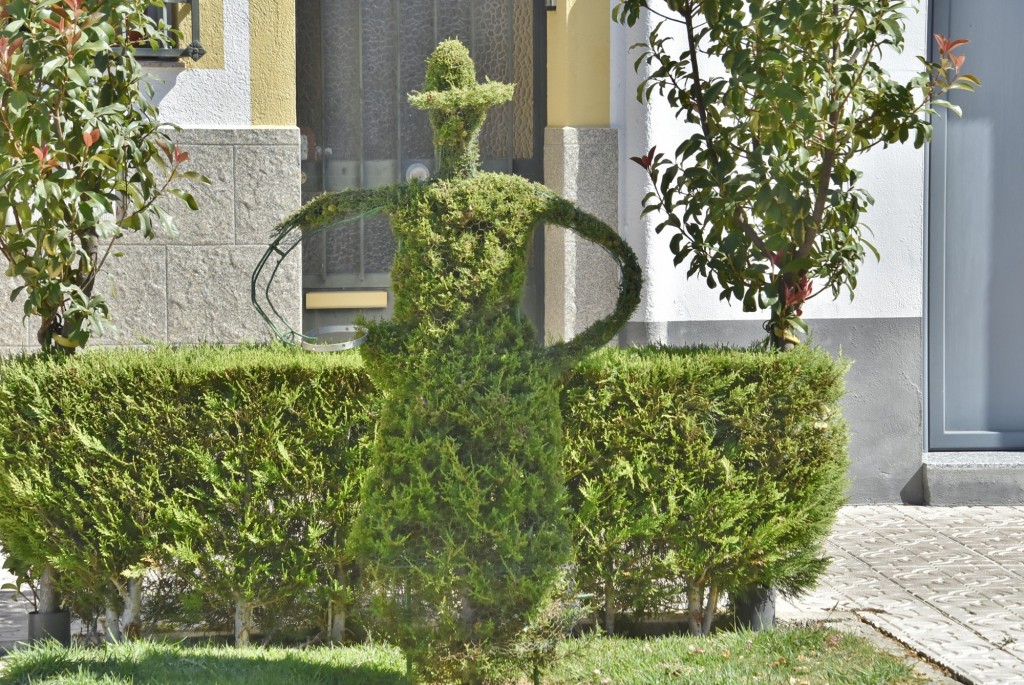 Foto: Arte vegetal - Losar de la Vera (Cáceres), España