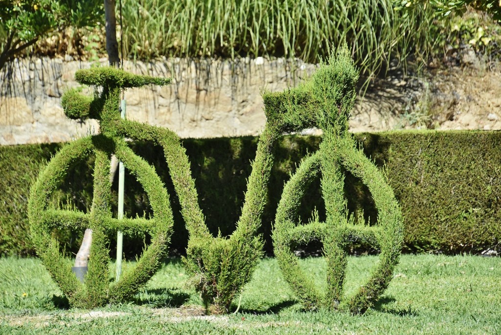 Foto: Arte vegetal - Losar de la Vera (Cáceres), España