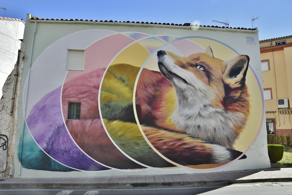 Foto: Grafiti - Losar de la Vera (Cáceres), España