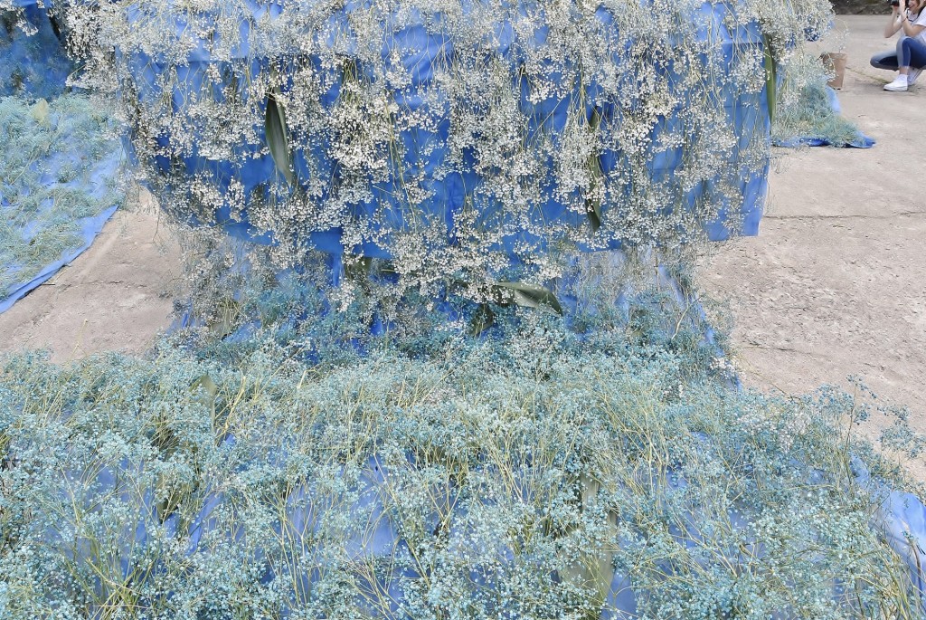 Foto: Tiempo de flores 2022 - Girona (Cataluña), España