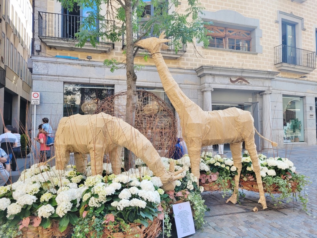 Foto: Tiempo de flores 2022 - Girona (Cataluña), España