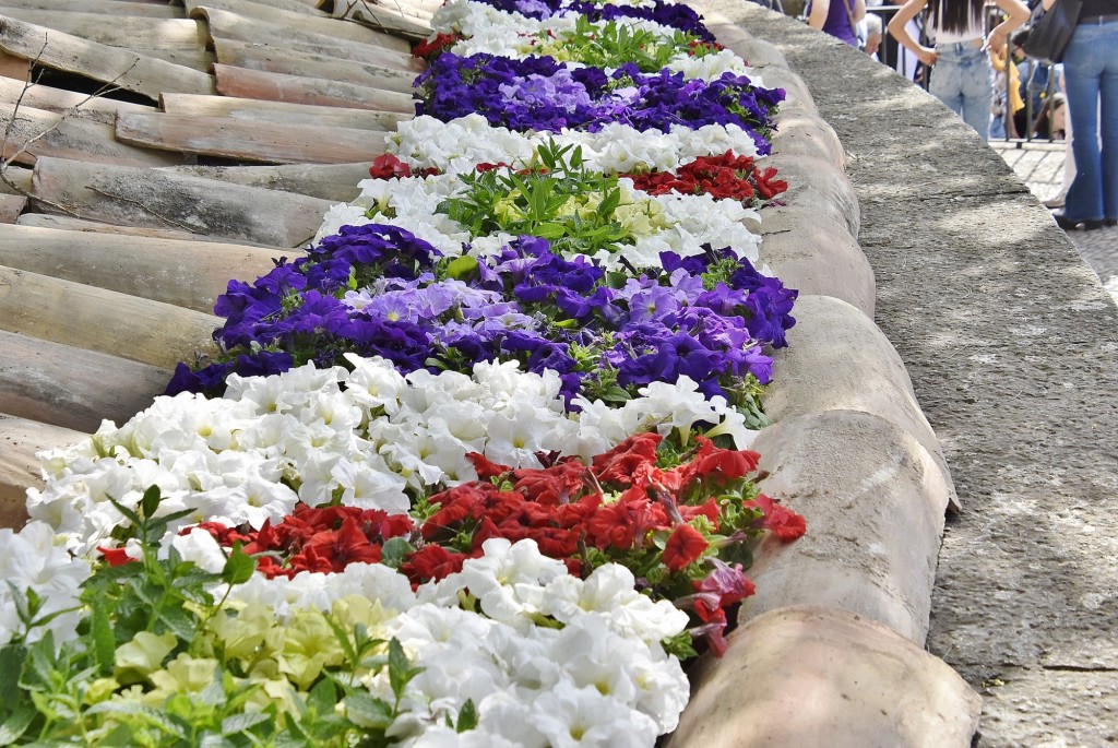 Foto: Tiempo de flores 2022 - Girona (Cataluña), España