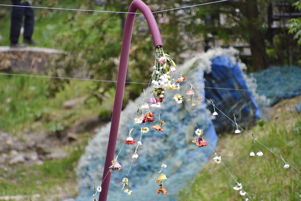 Foto: Tiempo de flores 2022 - Girona (Cataluña), España