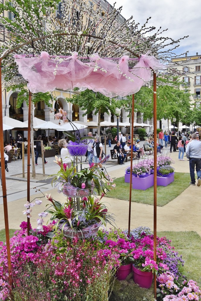 Foto: Tiempo de flores 2022 - Girona (Cataluña), España