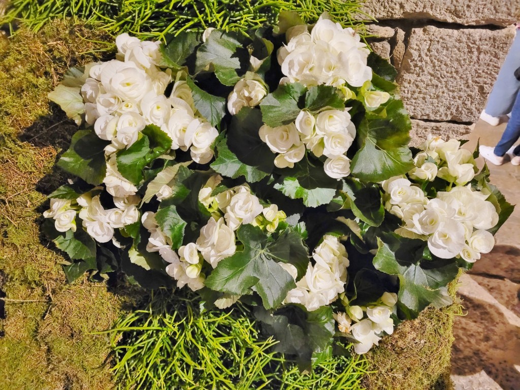 Foto: Tiempo de flores 2022 - Girona (Cataluña), España