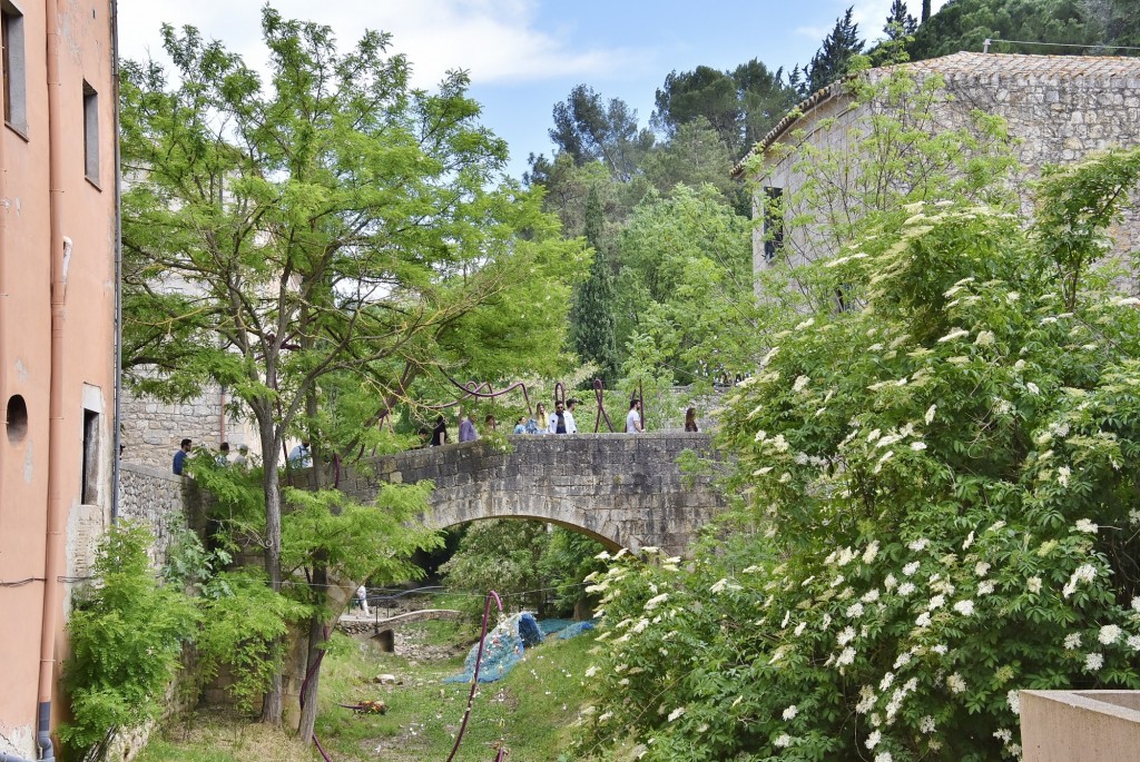 Foto: Tiempo de flores 2022 - Girona (Cataluña), España