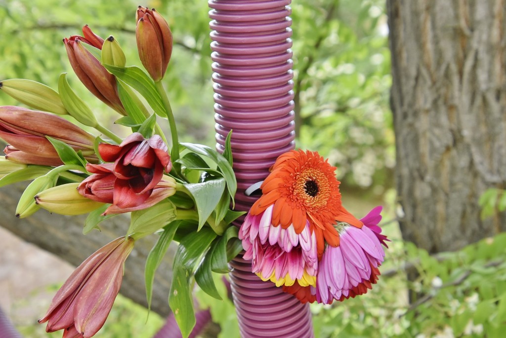 Foto: Tiempo de flores 2022 - Girona (Cataluña), España