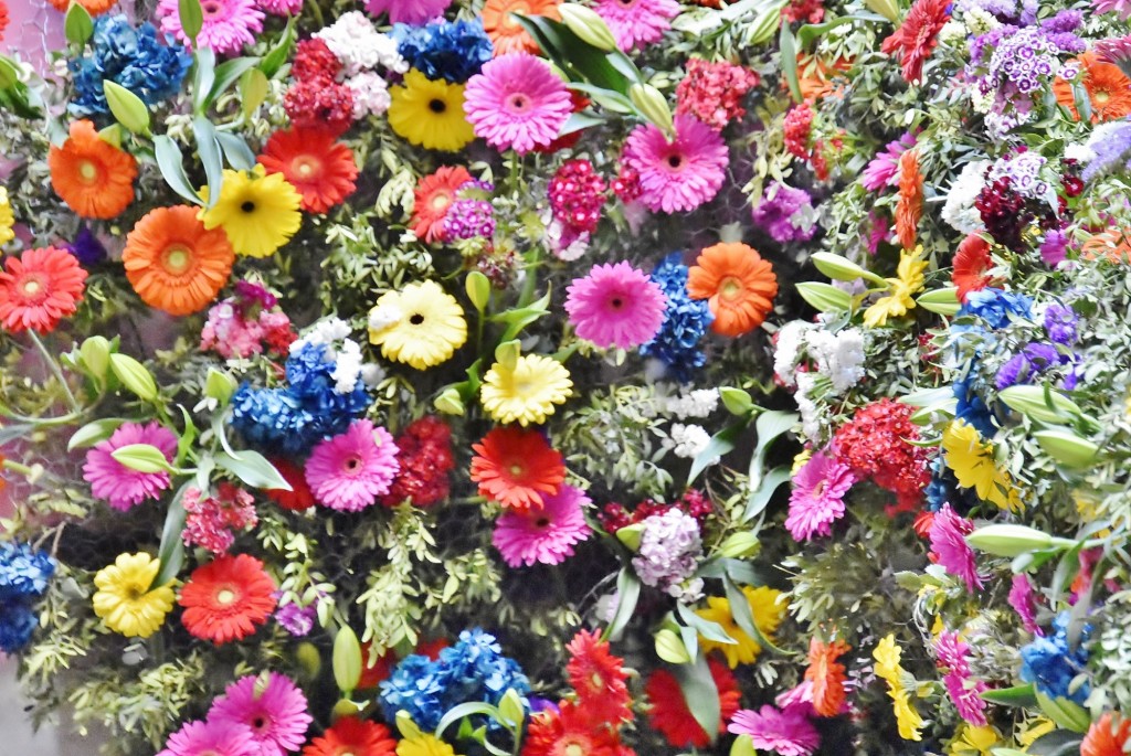 Foto: Tiempo de flores 2022 - Girona (Cataluña), España