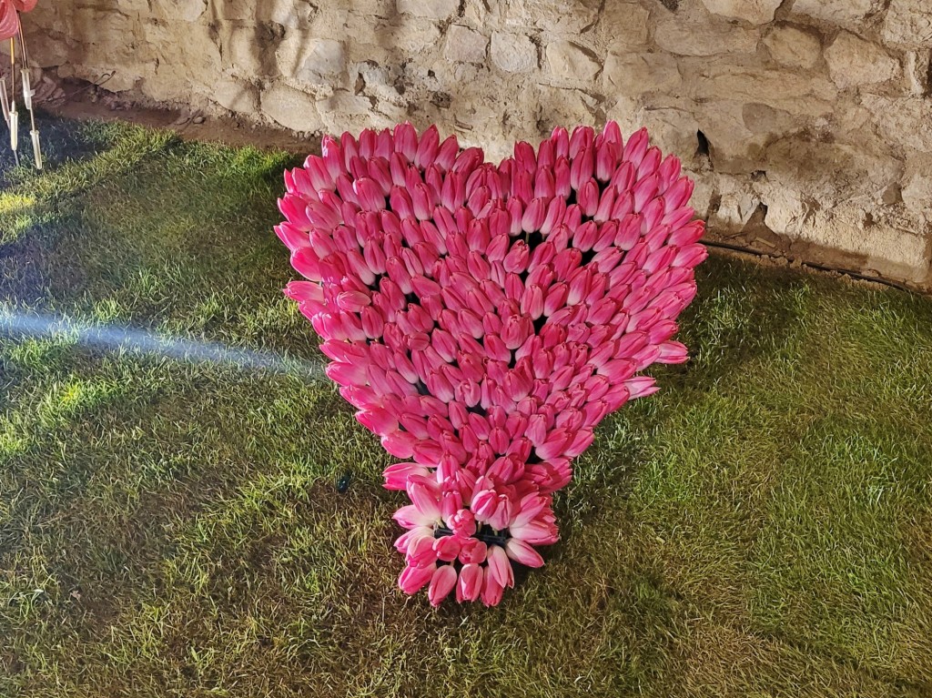 Foto: Tiempo de flores 2022 - Girona (Cataluña), España