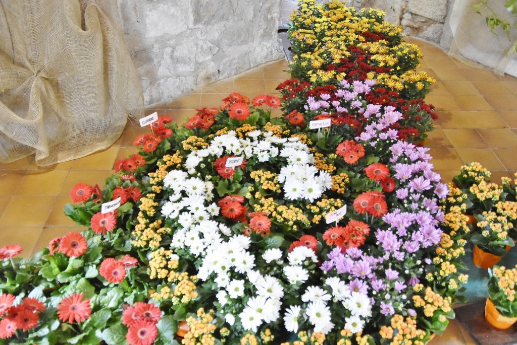 Foto: Tiempo de flores 2022 - Girona (Cataluña), España