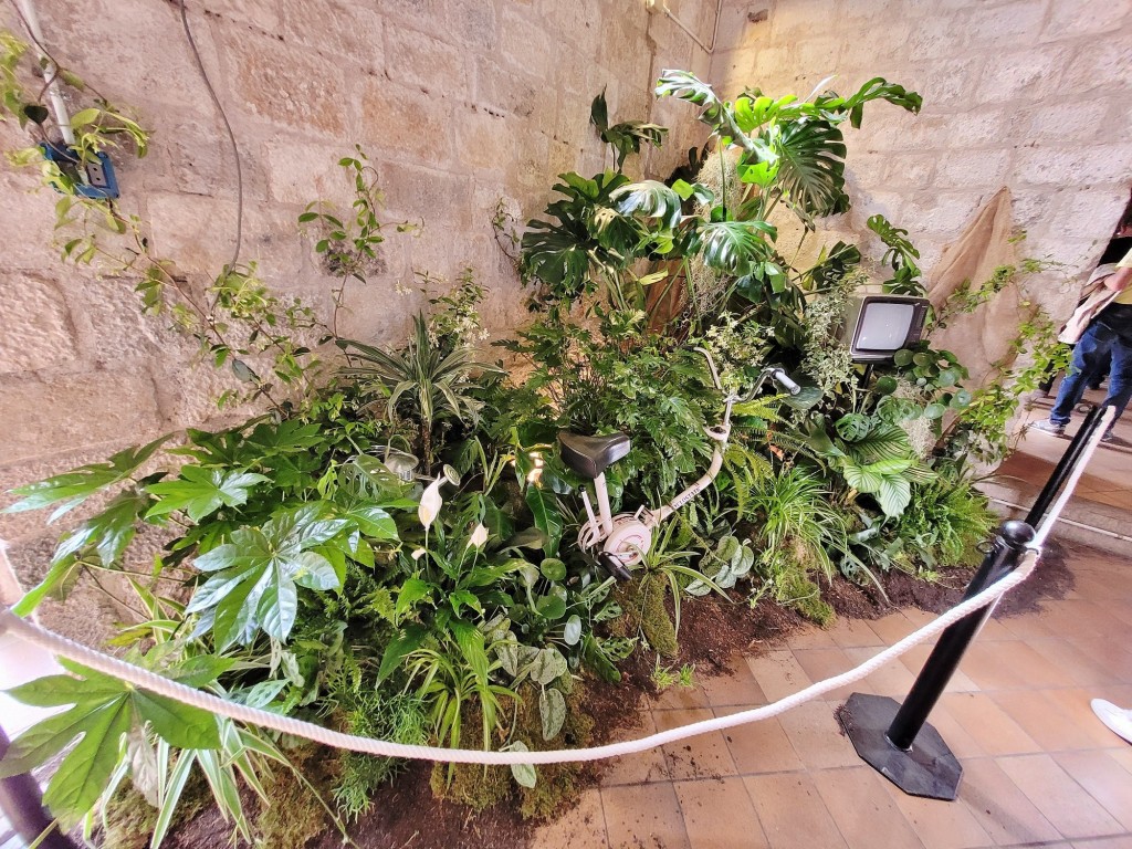 Foto: Tiempo de flores 2022 - Girona (Cataluña), España