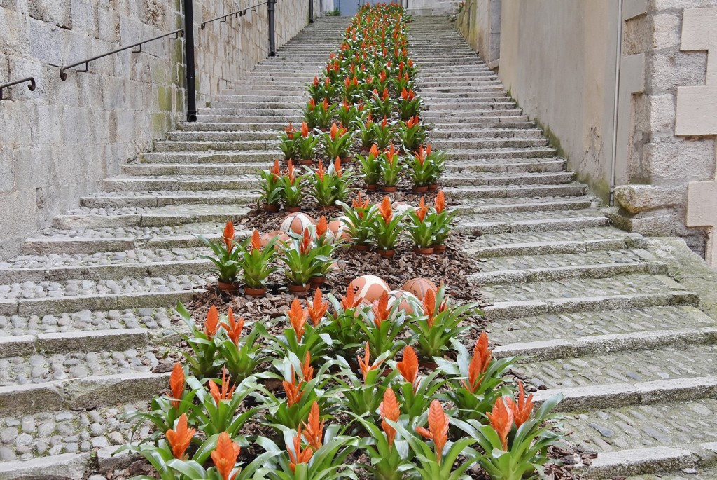 Foto: Tiempo de flores 2022 - Girona (Cataluña), España