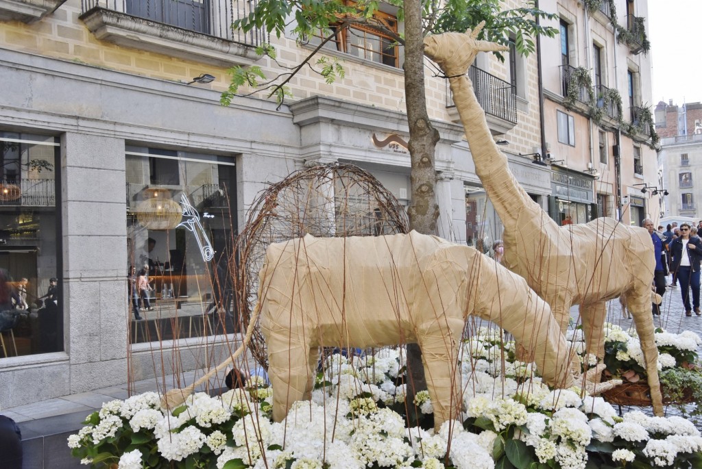 Foto: Tiempo de flores 2022 - Girona (Cataluña), España
