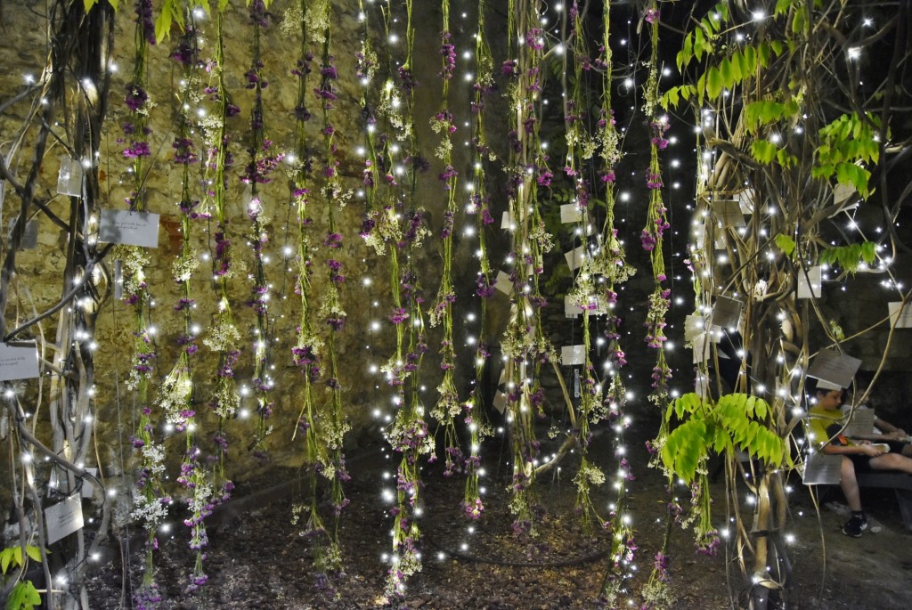 Foto: Tiempo de flores 2022 - Girona (Cataluña), España