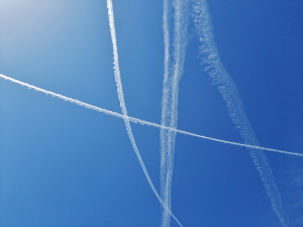 Foto: ¿A dónde voy? - Barcelona (Cataluña), España