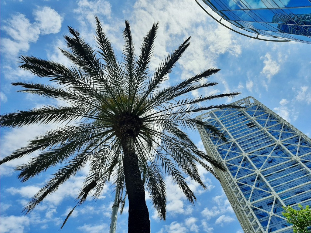 Foto: Puerto olímpico - Barcelona (Cataluña), España