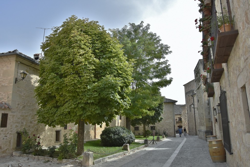 Foto: Centro histórico - Pedraza (Segovia), España