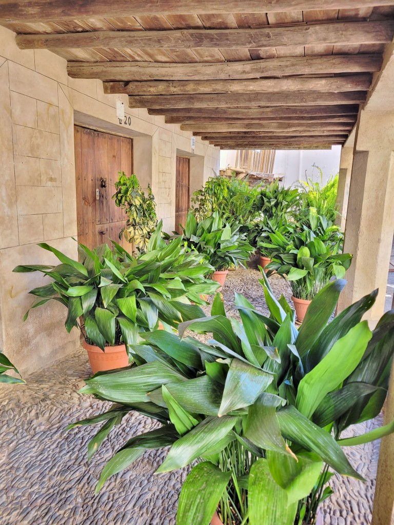 Foto: Centro histórico - Guadalupe (Cáceres), España