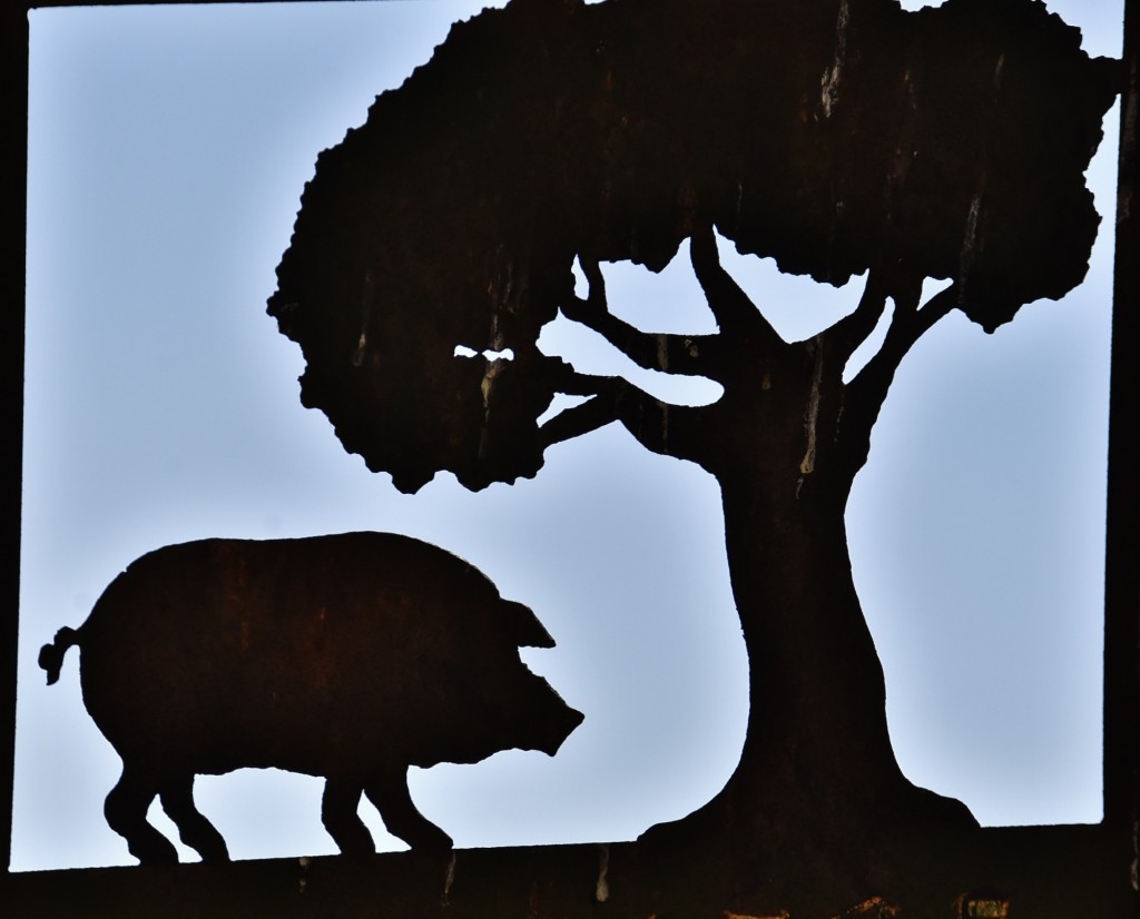 Foto: Centro histórico - Trujillo (Cáceres), España