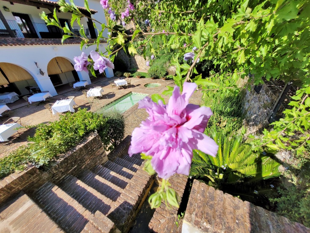 Foto: Colegio de Infantes - Guadalupe (Cáceres), España
