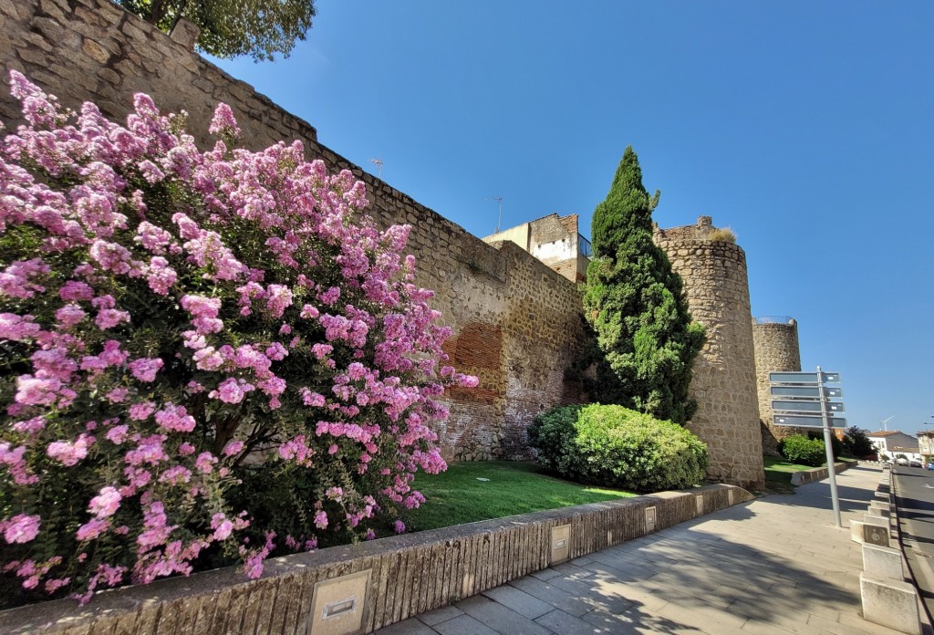 Foto: Muralla - Plasencia (Cáceres), España