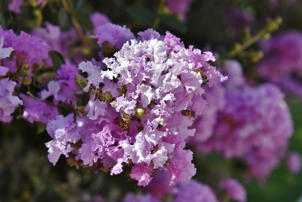 Foto: Un poco de color - Plasencia (Cáceres), España