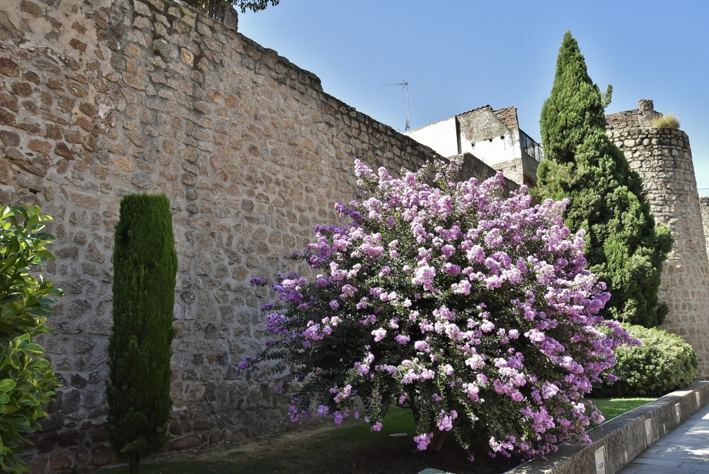 Foto: Muralla - Plasencia (Cáceres), España