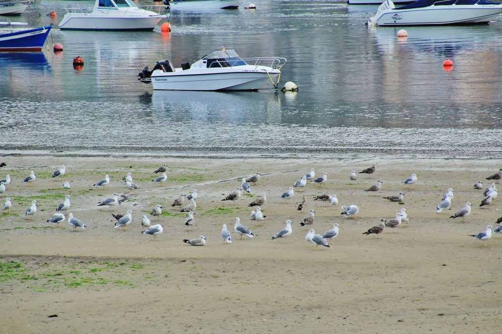 Foto: Puerto - Corcubión (A Coruña), España